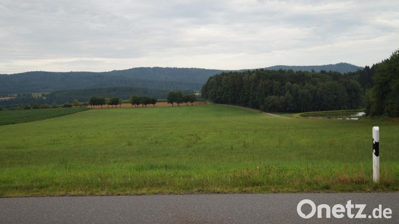 Links der Straße von Dieterskirchen nach Weichelau liegt das Areal für den neuen Solarpark kurz vor der Ortschaft Weichelau. Bild: wel