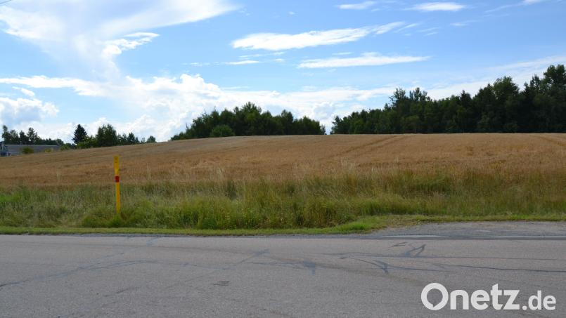 An diesem Standort sollen der städtische Bauhof und die Stadtwerke neu gebaut werden. Das Grundstück an der Rothenbürger Straße im Gewerbegebiet &quot;Langen Dammer&quot; gegenüber der Abzweigung zum FSV-Sportplatz und zum Flugplatz gehört der Stadt bereits, ist derzeit aber noch für landwirtschaftliche Nutzung verpachtet. Bild: Thorsten Schreiber