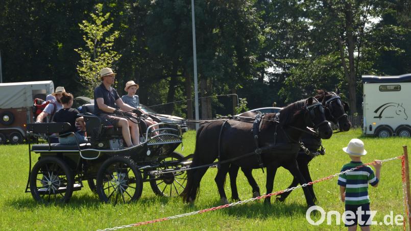 Auch heuer gibt es wieder das Angebot der Pferdefreunde im Grenzland Vohenstrauß zu Kutschenfahrten oder Ponyreiten. Archivbild: dob