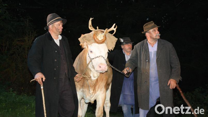 Beim Schmuggeln sind der Kreativität keine Grenzen gesetzt: Aus der Kuh wird auch mal ein Hirsch. Archivbild: lg