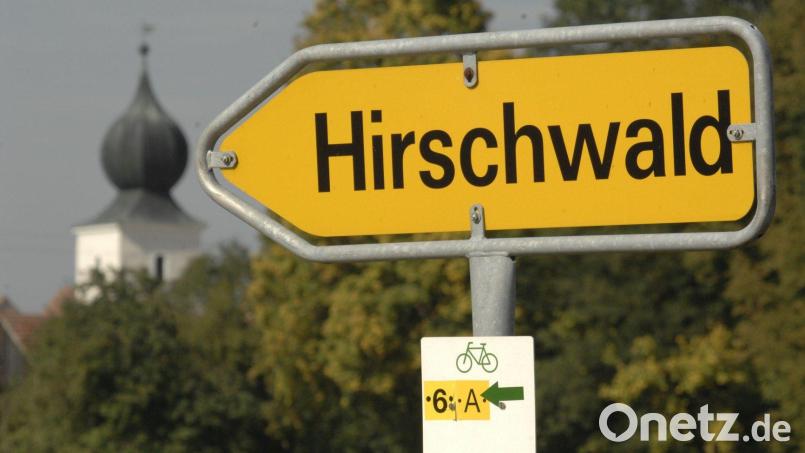 Hier geht&#039;s lang: Im Hirschwald, zwischen Köfering und Waldhaus, soll ein neuer Windpark entstehen. Archivbild: Petra Hartl