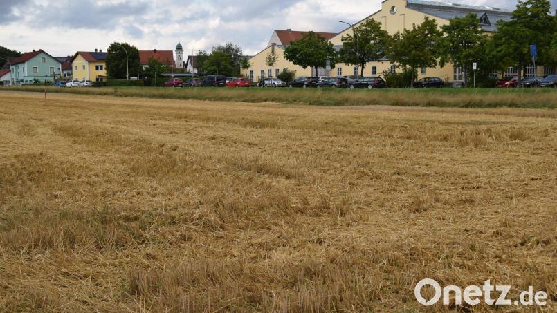 Das Baugebiet &quot;Landgraf-Johann-Straße&quot; ist reif für die Erschliessung.. Einzelne Parzellen können bereits erworben werden. Bild: bnr