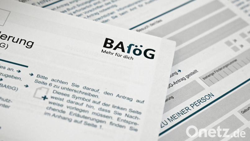 Durchschnittlich 635 Euro erhielten die Geförderten pro Monat im vergangenen Jahr. Symbolbild: Elisa Schu/dpa