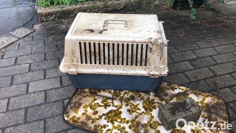 Im Fall der tot aufgefundenen Katze in einer versenkten Transportbox im Stadtmühlbach gibt es weiterhin keine konkreten Hinweise auf den Täter. Archivbild: Stadt Weiden