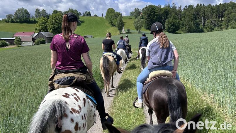 Der Naturpark Steinwald bietet vielen Interessengruppen eine breite Freizeitaktivität. Auch Reiter sind oft auf den Wegen im Steinwald unterwegs. Bild: Andrea Steinkohl/exb