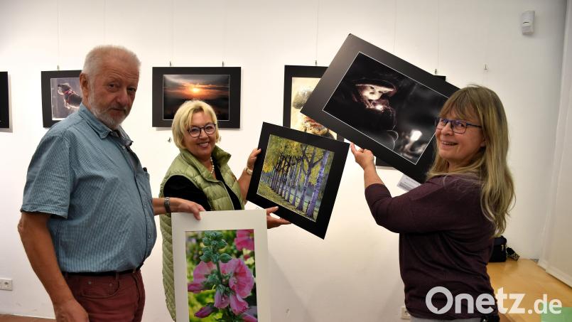 Vorsitzender Jürgen Kundrat, das älteste Mitglied Lisa Langer und die Zweite Vorsitzende Renate Bauer-Zölch (von links) beim Aufhängen und Verteilen der Fotos in den zwei Ausstellungsräumen des Museumsquartiers. Bis zur Vernissage am 8. August muss alles fertig sein. Bild: ubb