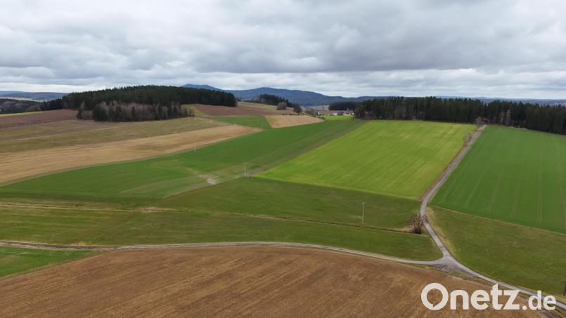 Bei Wolfersreuth soll ein Solarpark entstehen. Archivbild: fpoz