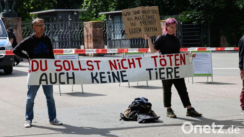 Schon seit Tagen gibt es Proteste vor dem Nürnberger Tiergarten. Nun soll ein Camp folgen. (Archivbild) Bild: Daniel Löb/dpa