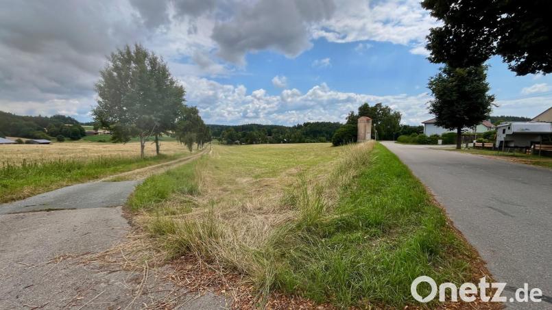 Auf dieser Fläche am Ortsrand in Störnstein soll das Baugebiet &quot;Im Badgarten&quot; entstehen. Bild: Gabi Schönberger