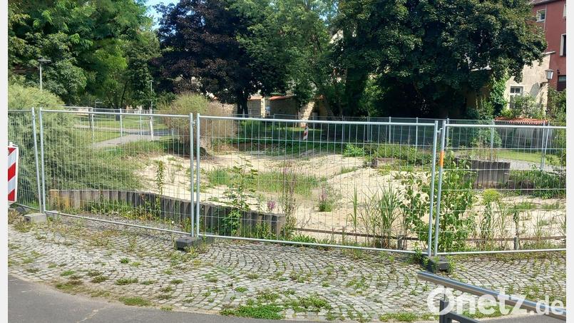 Im Amberger Stadtgraben klafft derzeit ein großes Loch an der Stelle, an der einst das &quot;Biotop&quot; war. Bild: wpt
