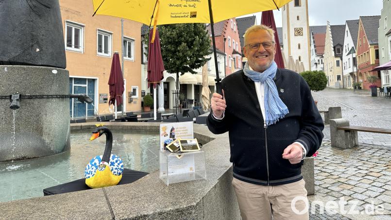 Wie soll der Schwan heißen? Bürgerinnen und Bürger aus Schwandorf sollen entscheiden. Bild: Lara Schmaus