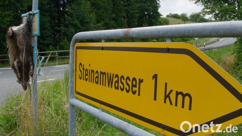 Bei der Abzweigung nach Steinamwasser hing der tote Dachs an einem Verkehrsschild. Bild: Emil Jenne, Verlag Mensch und Gedanke