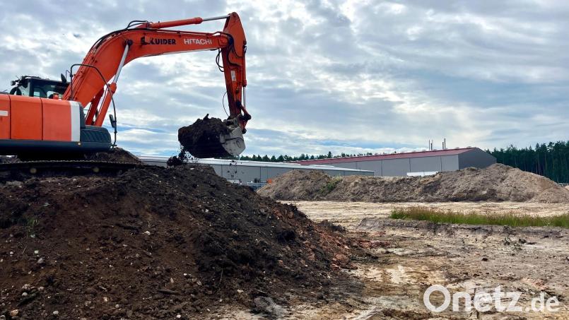 Die Arbeiten laufen: In dieser Woche haben die Bauarbeiten am geplanten Logistikzentrum in Wernberg-Köblitz begonnen. Bild: Gabi Schönberger