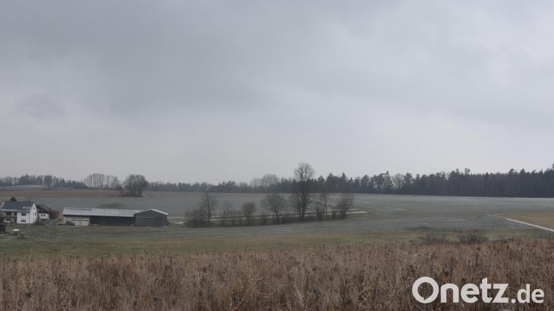 Rechts oben am Wald ist der Solarpark geplant. Links befindet sich das der Anlage am nächsten liegende Roschauer Anwesen. Bild: Ernst Frischholz