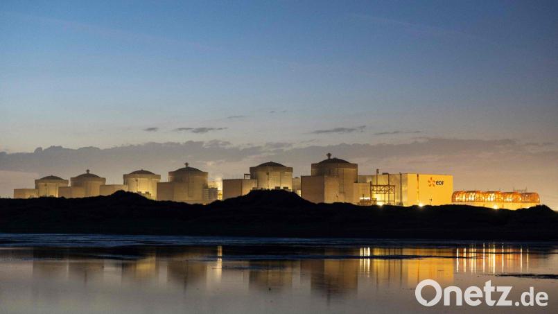 Wegen Quallen steht der Betrieb eines französischen AKW vorerst still. Archivbild: Sameer Al-Doumy/AFP/dpa