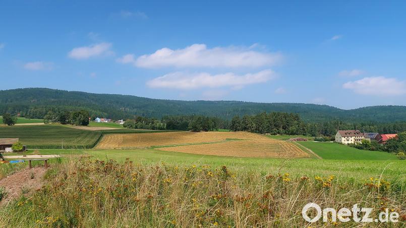 Wenn es nach den Willen des Friedenfelser Gemeinderats geht, soll der Naturpark Steinwald von Windrädern frei gehalten werden. Im Bild der Friedenfelser Ortsteil Bärnhöhe mit dem Steinwaldkamm im Hintergrund. Bild: bsc