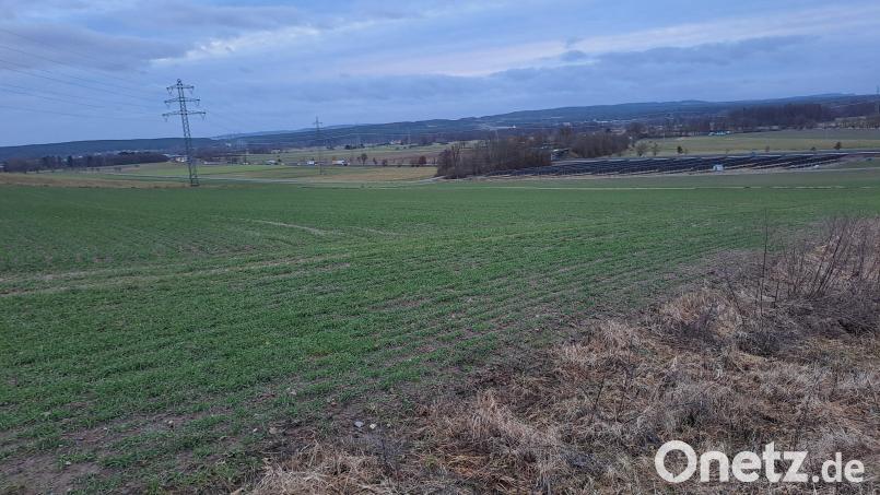 In Pischeldorf entstehen zwei Solarparks. Für Pischeldorf Süd ist ein Gebiet von 171 057 Quadratmetern vorgesehen. Bild: Gottfried Blank, exb