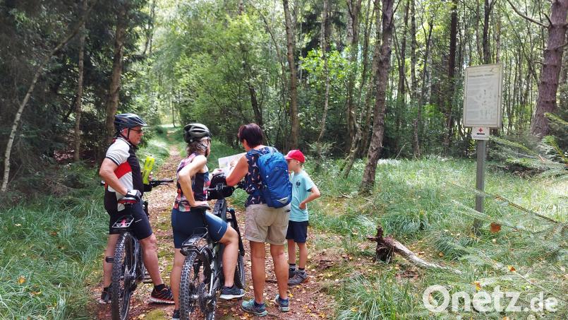 Der drei Kilometer lange Lehrpfad wird mitunter auch per Mountain-Bike absolviert. Bei der Orientierung gibt es kein Problem. Bild: lg