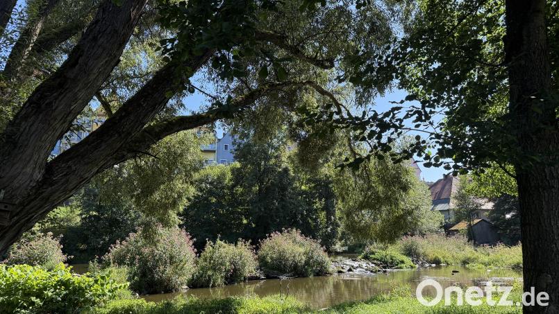 Grüne Oasen wie entlang der Waldnaab sind gut fürs Klima. Die Freien Wähler in Neustadt/WN bitten die Bürger mit einer Umfrage um ihre Meinung zum Leben in der Stadt. Bild: Gabi Schönberger