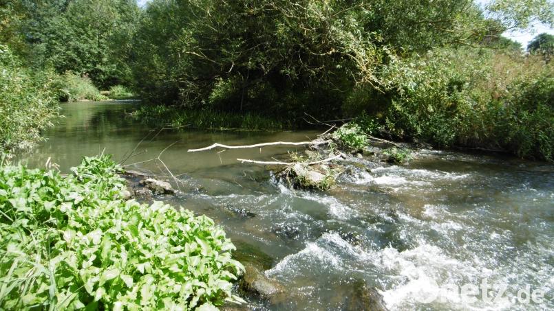 Ein idyllischer Abschnitt der Vils im Norden von Hahnbach. Archivbild: mma