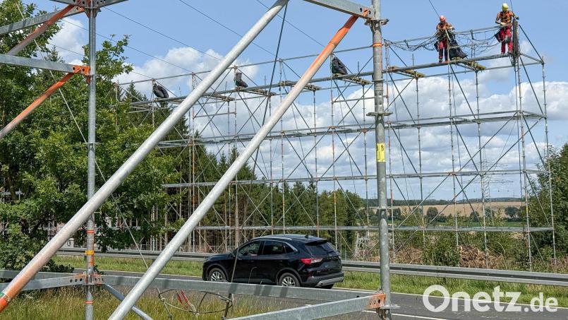 Hier spannen Arbeiter für den Ostbayernring ein Sicherungsnetz zwischen den Gerüsten beidseits der Staatsstraße St 2395 zwischen Altenstadt/WN und Windischeschenbach. Der Verkehr fließt unterdessen weiter. Bild: Gabi Schönberger