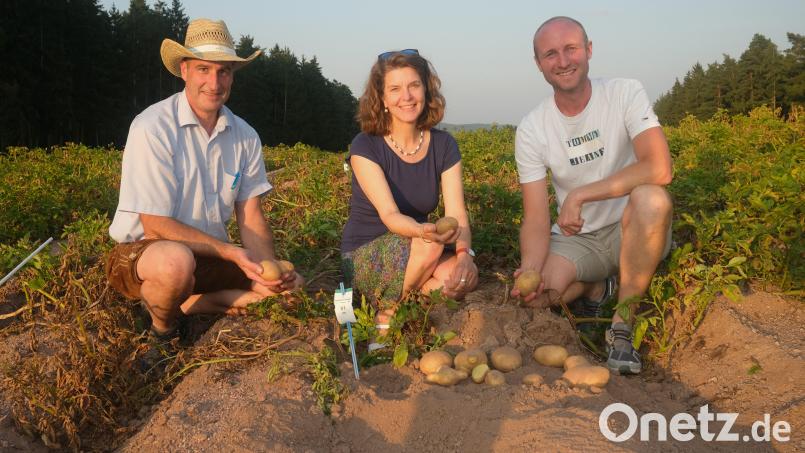 Thomas Zirngibl, Annette Dodel und Simon Obermeier (von links) sind zufrieden mit der diesjährigen Kartoffelernte. Bild: Hirsch