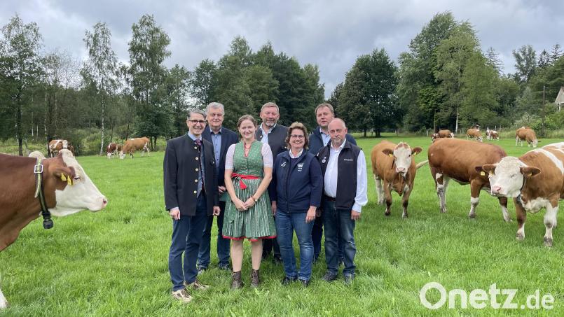 Die neue Zuchtleiterin Linda Lang (m.) umgeben von Dr. Christoph Härle (v.l.) vom STMELFT, Behördenleiter Helmut Melchner, Georg Hammerl, Leiter des Staatsguts Almesbach, Erika Sauer, Vorsitzende des Fleischrinderverbands, Karlheinz Gayer, Interims-Zuchtleiter, und Rainer Bauereiß, Beisitzer im Vorstand des Fleischrinderverbands. Bild: Armin Hofbauer/AELF Regensburg-Schwandorf