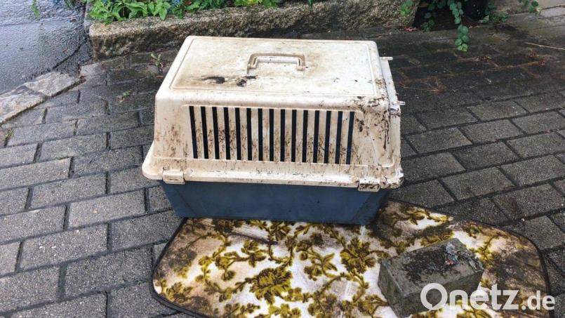 Die Stadt Weiden sucht Zeugen. Wer kennt die Transportbox, in der die tote Katze im Stadtmühlbach gefunden wurde? Bild: Stadt Weiden