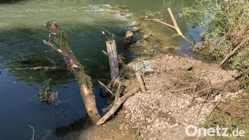 Ein Strömungslenker aus großen Steinen ist quer zur Fließrichtung bis etwa zur Flussmitte eingebaut. Die am Ufer eingebrachten Baumstämme und Wurzelstöcke, zu sehen im Bildvordergrund, bieten den Fischen zahlreiche Versteckmöglichkeiten. Bild: Wasserwirtschaftsamt Weiden