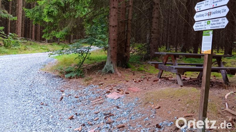 Neu geschottert wurde kürzlich ein großer Abschnitt des Kurwald-Rundweges bei Bad Neualbenreuth. Bild: as