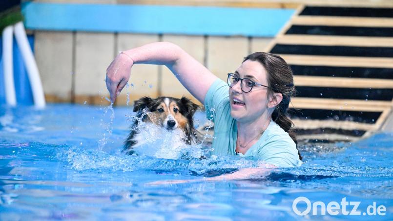 Ramona Stallbaum aus Krummennaab war mit ihrer Sheltie-Hündin &quot;Nala&quot; am Freitagabend in der RTL-Show &quot;Top Dog Germany – Der beste Hund Deutschlands&quot; zu sehen. Bei der letzten Aufgabe zögerte &quot;Nala&quot; zu lange mit dem Sprung ins Wasser, dabei ging wertvolle Zeit verloren. Am Ende reichte es nicht fürs Weiterkommen. Bild: RTL/Markus Hertrich