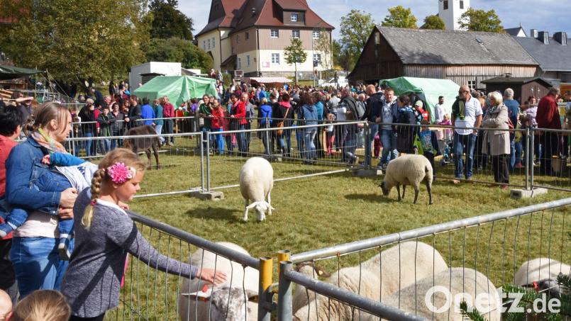 Das Schaffest zählt zu den größten Handwerker- und Bauernmärkten Nordostbayerns. Bild: FGV-Ortsgruppe Brand
