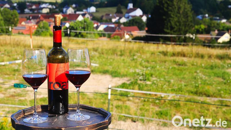 Mit Panoramablick auf Etzenricht – Hier befindet sich eine Station der erstmals organisierten Weinwanderung am Sonntag, 31. August. An diesem Platz werden Südtiroler Weine angeboten. Bild: war