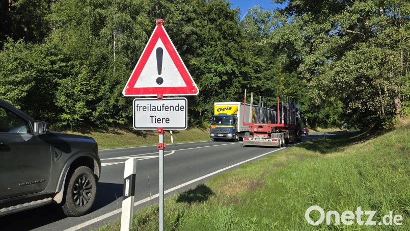 Warnschilder mit dem Zusatz &quot;frei laufende Tiere&quot; stehen seit einer Weile beidseitig an der B 15 zwischen Tirschenreuth und Mitterteich im Bereich der Maria-Weiher-Kurve. Bild: lnz