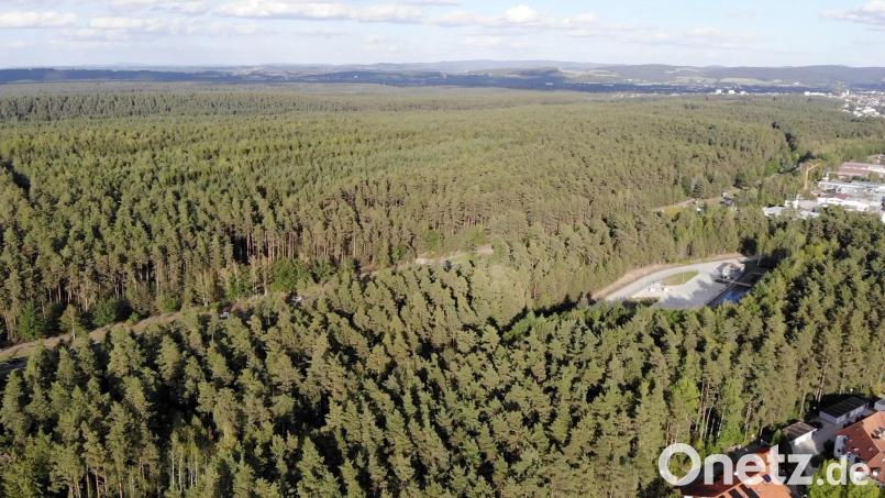 Der Wald, der dem Gewerbegebiet West IV weichen sollte, ist wieder Thema. Kann die Stadt ihn gegen die Flächen im fränkischen Steigerwald tauschen? Archivbild: Beer