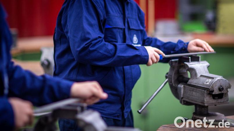 Jugendliche haben die freie Auswahl, Betriebe dagegen bleiben öfter auf offenen Lehrstellen sitzen: In der Oberpfalz fehlen Azubis – in Industrie, Handwerk und Handel. Symbolbild: Jens Büttner/dpa