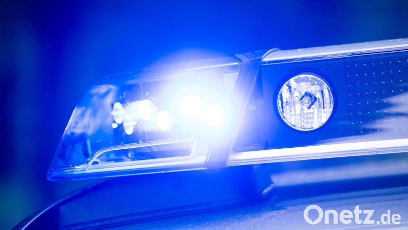 Für die getöteten Tiere muss laut Polizei nun der 65-jährige Halter des Hundes aufkommen. (Symbolbild) Bild: Lino Mirgeler/dpa