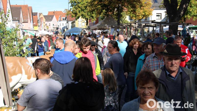Wenn die Besucher beim Bauernmarkt oder dem Martini-Kirchweihmarkt in Neustadt/WN die Straßen füllen, sind nicht nur die Stände interessant, sondern auch die Angebote der örtlichen Geschäftswelt. Die Stadt hat die Öffnungszeit für die zwei Sonntage auf künftig 11 bis 18 Uhr festgelegt. Archivbild: prh