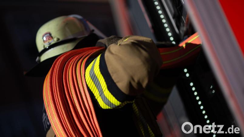 Mehrere Kühe sind bei dem Brand gestorben. Einige Tiere hat die Feuerwehr aber retten können. Symbolbild: Marijan Murat/dpa