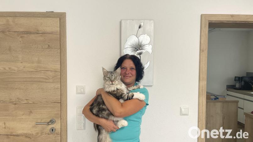 Nicole Kolofik-Müller von der Katzenhilfe Nordoberpfalz aus Paßenrieth bei Eslarn. Bild: Johanna Kopp