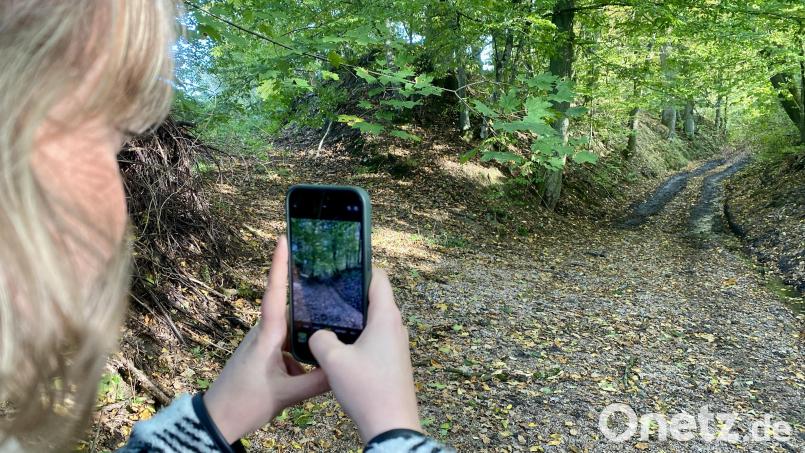 Der Hohlweg, in dem der Täter die Leiche des Buben zum Wald getragen hat. Bild: upl