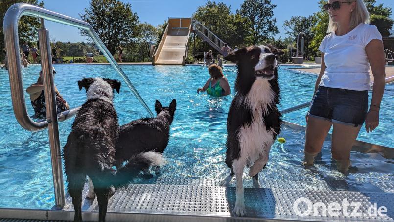 Zwei- und Vierbeiner dürfen sich am 15. September im Freizeit- und Erholungsbad in Nittenau austoben. Bild: Alexandra Oppitz