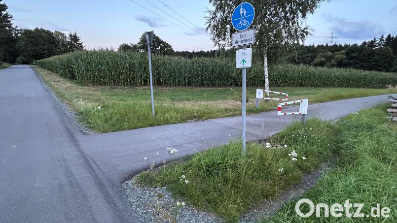 Hier sollten Autofahrer und auch Radler unbedingt langsam fahren: Auf dem Bocklweg bei Waldau kreuzt der Radweg die Straße (links) nach Untertresenfeld. Das hohe Maisfeld verhindert den Blick auf die Straße beziehungsweise den Bocklweg. Ein Flügel der Schranke ist offen, um damit auch Radfahrern mit Anhängern das Passieren zu erleichtern. Diese Maßnahme hat jedoch schon zu gefährlichen Situationen geführt. Bild: ck