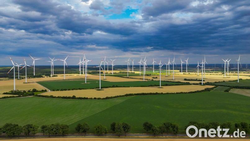 In der Energiewende-Rangliste des WWF liegt Brandenburg vorn. Bild: Patrick Pleul/dpa