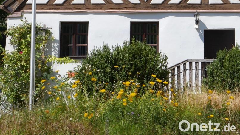 Die beiden Fenster im Erdgeschoss des alten Rathauses (links neben der Eingangstür), gehören zu den Räumen, in die am 1. August ein Pflege- und Betreuungsdienst eingezogen ist. Bild: no