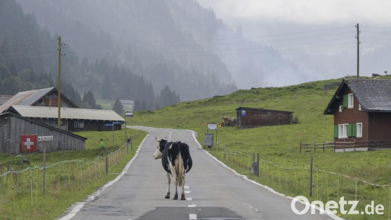 „Die Zahl der Deutschen mit Wohnsitz in der Schweiz steigt seit Jahren kontinuierlich“, berichtete die Statistikbehörde. Binnen zehn Jahren erhöhte sich die Zahl der Deutschen in der Schweiz um 10,7 Prozent. (Archivfoto) Bild: Urs Flueeler/KEYSTONE/dpa