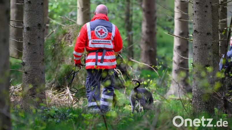 Auch mit Suchhunden suchten die Einsatzkräfte nach dem Vermissten. (Symbolbild) Bild: Daniel Reinhardt/dpa