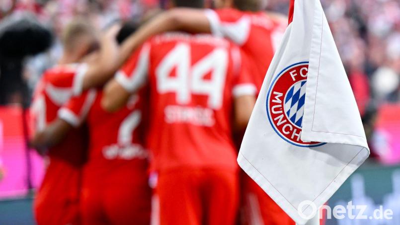 Beim Spiel zwischen dem FC Bayern und dem Hamburger SV gab es in der zweiten Hälfte zwei Notfälle unter Fans. Bild: Sven Hoppe/dpa