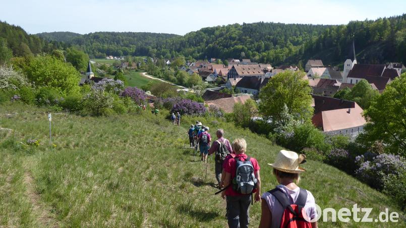 Im Naturpark Hirschwald kann nicht nur gewandert werden. Was er sonst noch zu bieten hat, ist am Sonntag in Ebermannsdorf zu sehen und zu erleben. Archivbild:  Isabel Lautenschlager