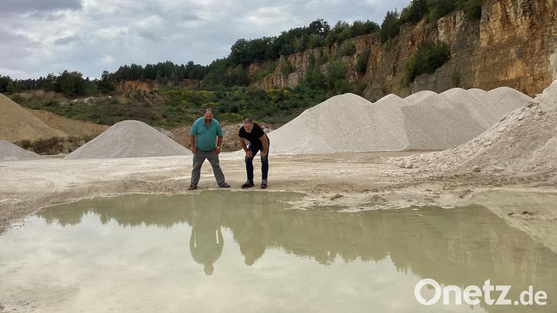 Diesen Ausblick zu den Laichgründen gönnen sich Schotterwerk-Besitzer Wolfgang Schatz (links) und Diplombiologe Bernhard Moos. Der Öffentlichkeit ist er allerdings verwehrt. Bild: mzi